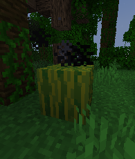 explosive melon smoke.png