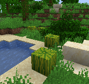 normal melons natural habitat.png